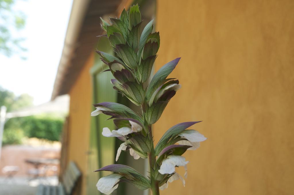 Villa Le Petit Bacalan Mormoiron Esterno foto