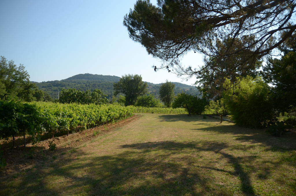 Villa Le Petit Bacalan Mormoiron Camera foto